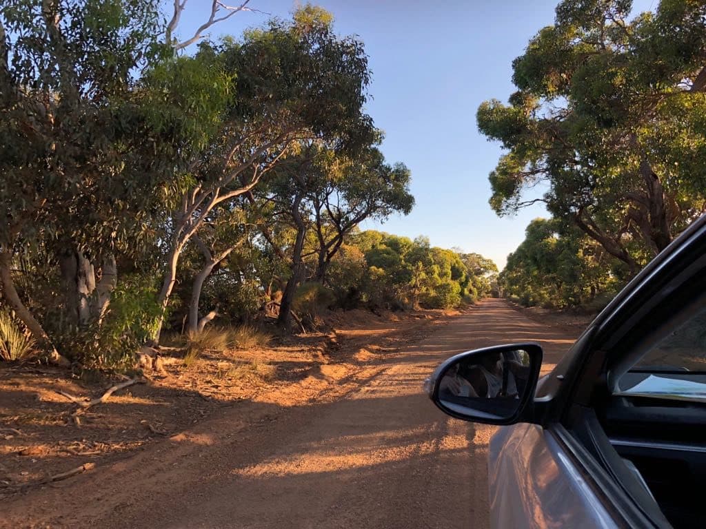 Kangaroo Island - Australia
