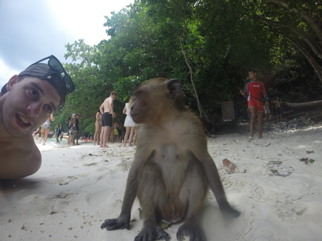 monkey beach thailand
