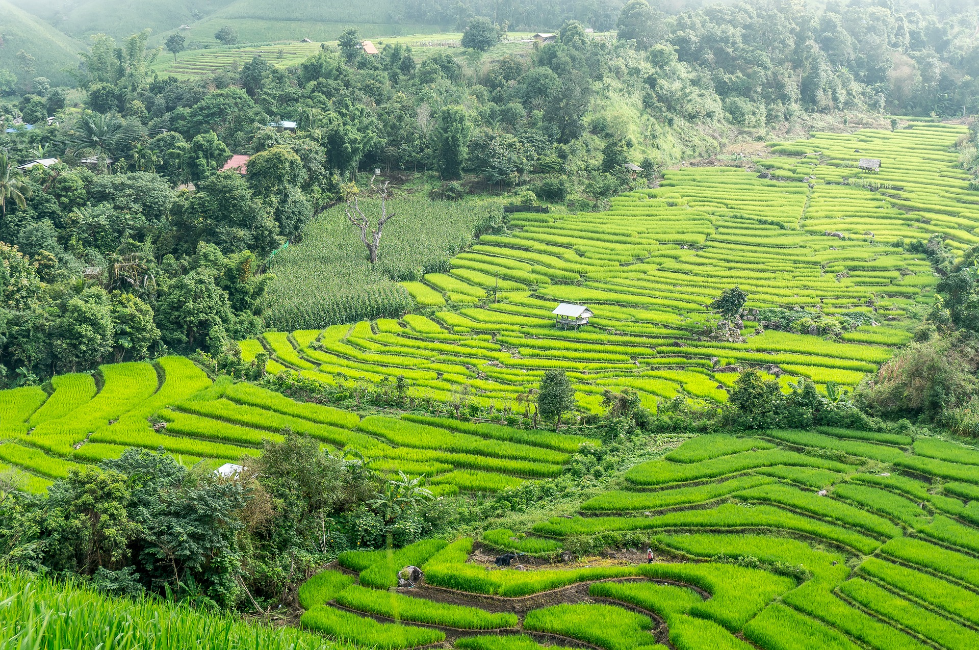 Town of Pai (Thailand) - Mini Travel Guide - Impulse Odyssey