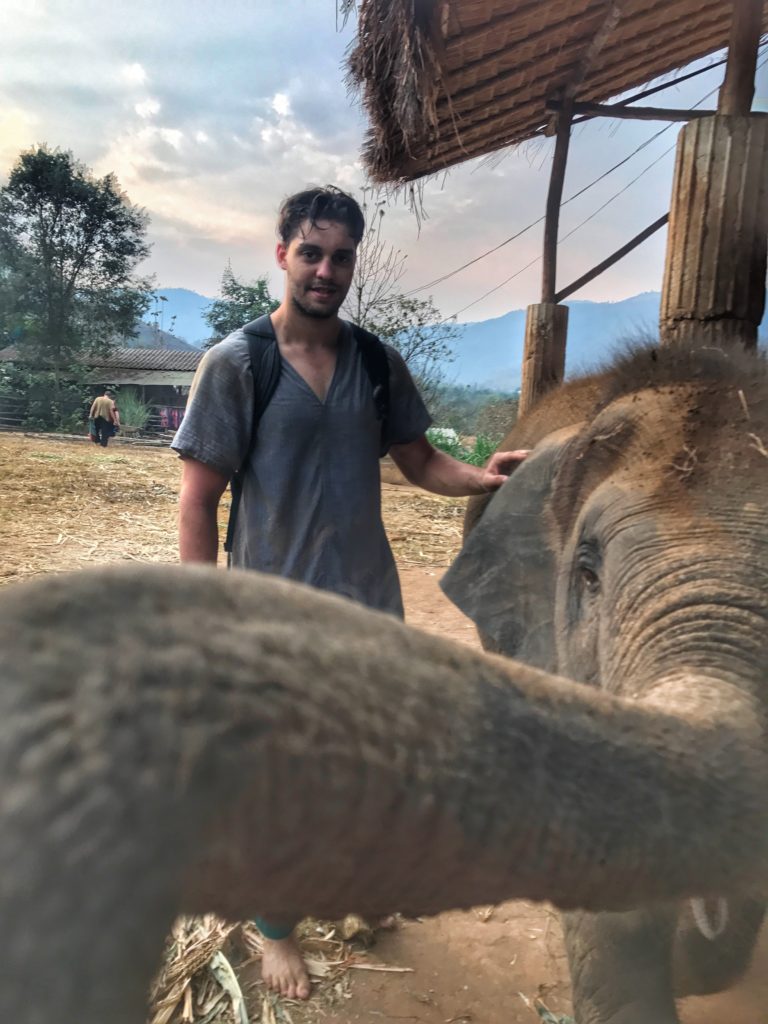 elephant gopro