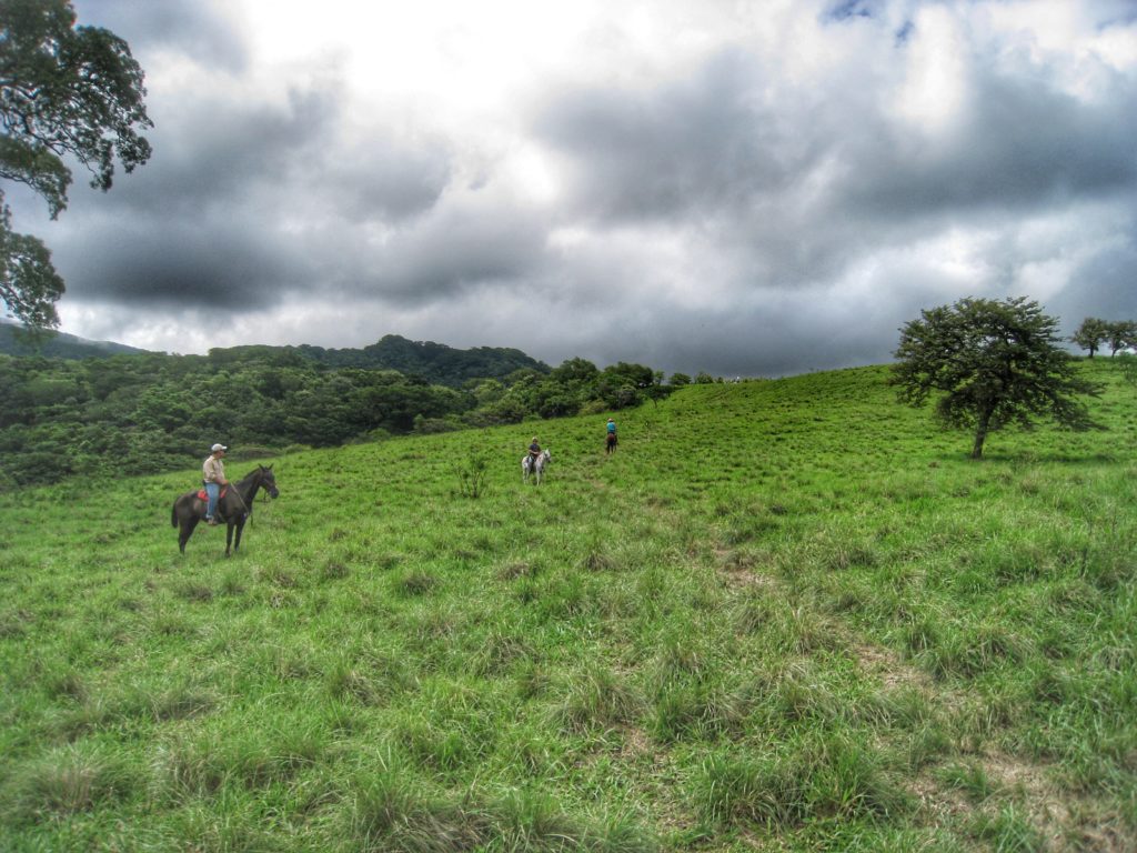 Monteverde Cloud Forest