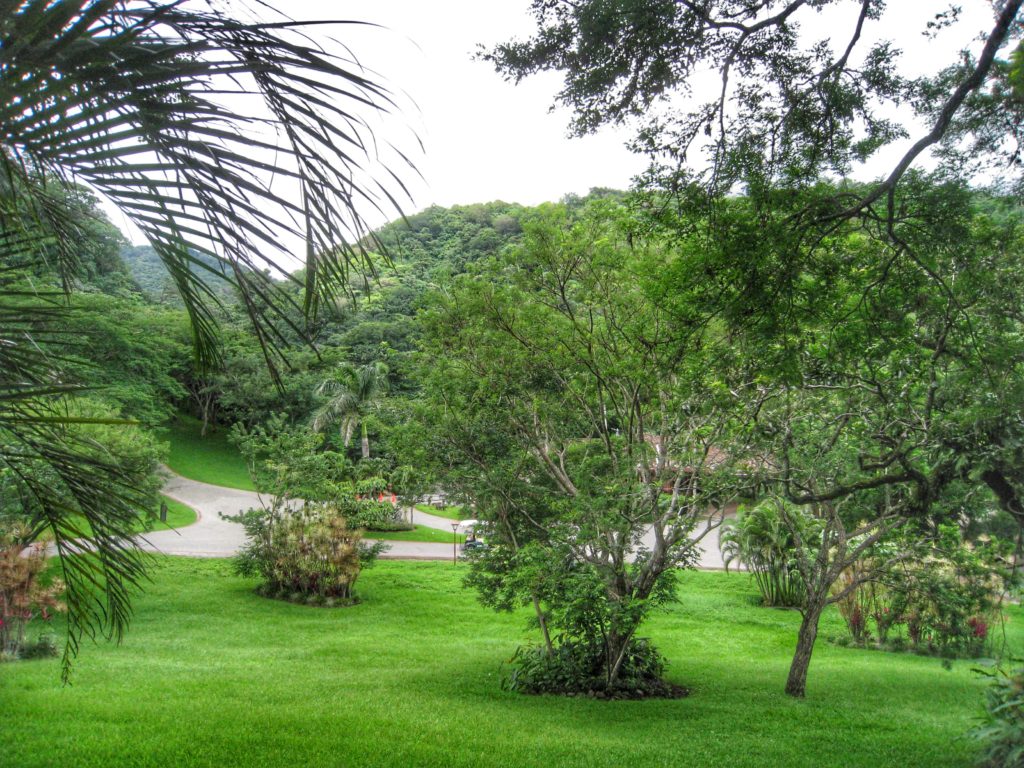 Monteverde Cloud Forest