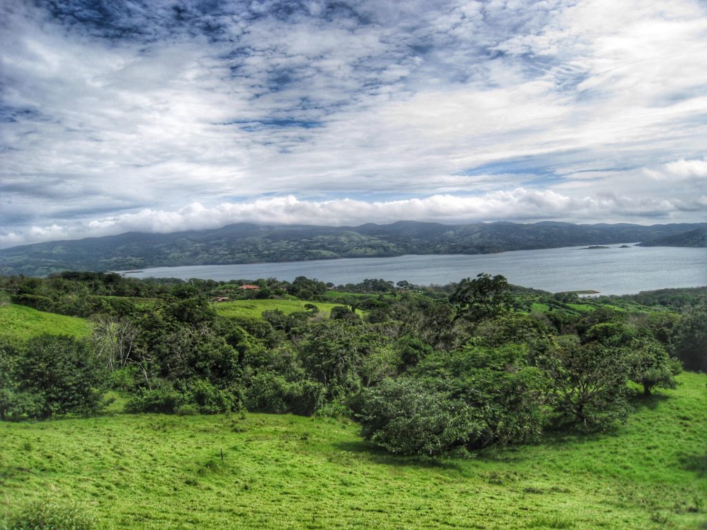 Monteverde Cloud Forest