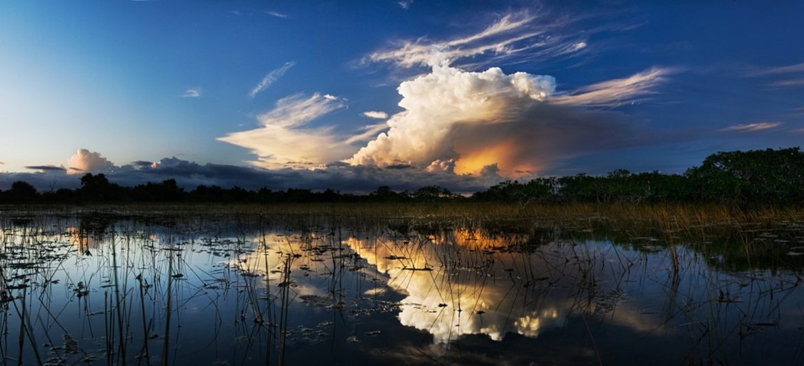 florida everglades