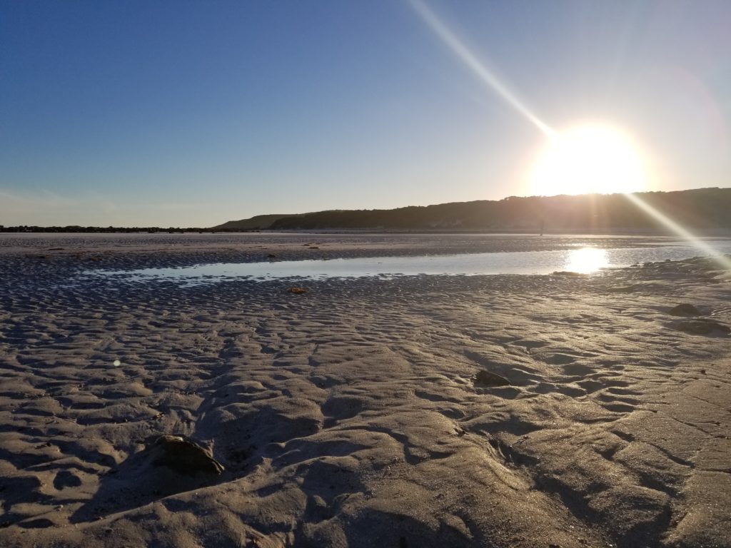 kangaroo island