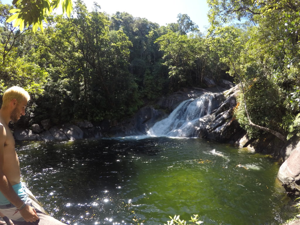 daintree rainforest