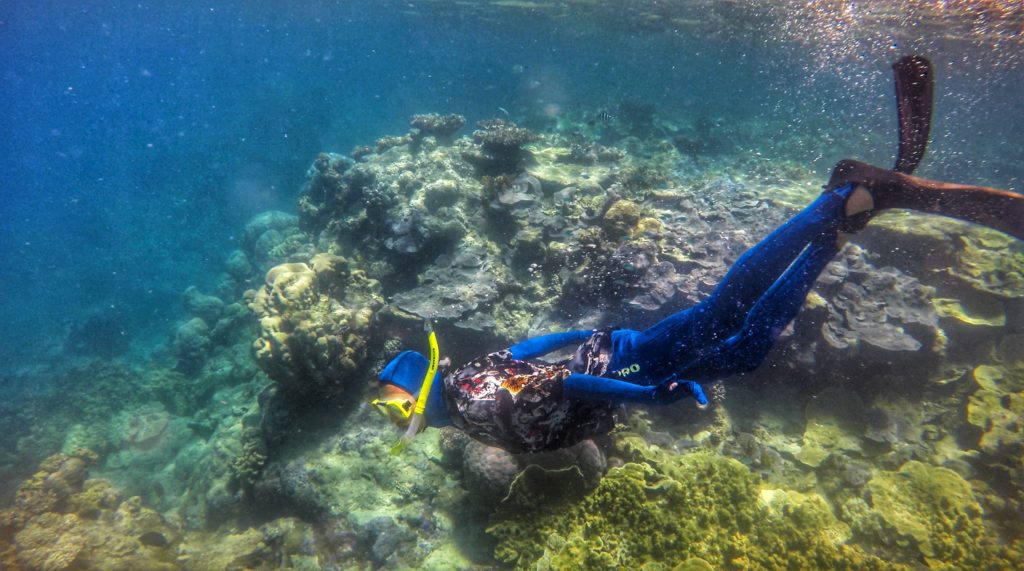 great barrier reef