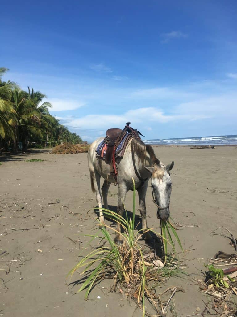 costa rican yoga